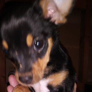 Meet your Posher, Connie